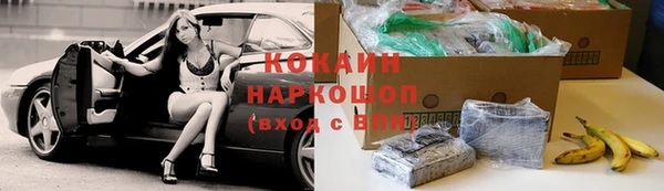 шишки Медвежьегорск
