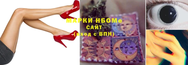 шишки Медвежьегорск