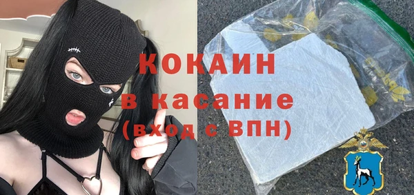 шишки Медвежьегорск