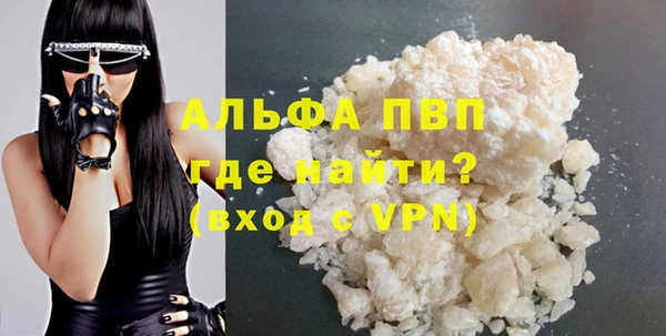 прущие грибы Медногорск