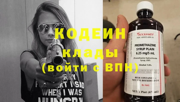 шишки Медвежьегорск