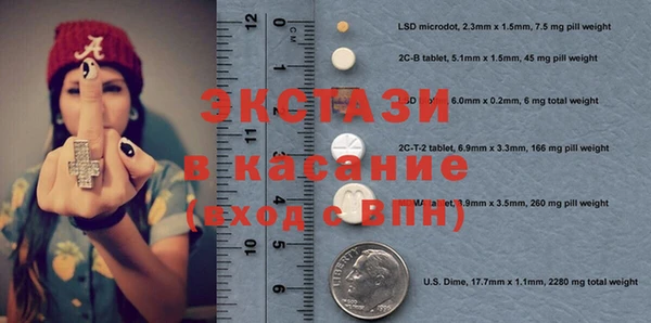 прущие грибы Медногорск