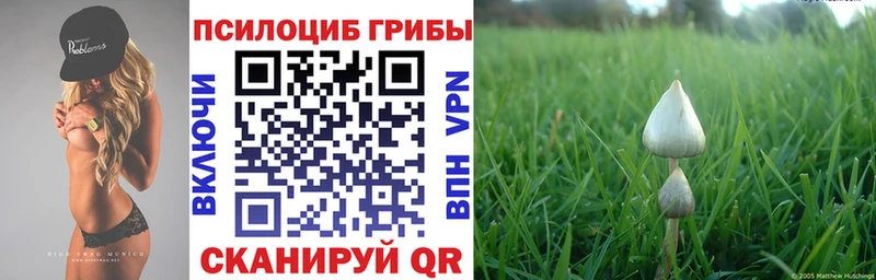 Псилоцибиновые грибы Magic Shrooms  магазин    Осташков 